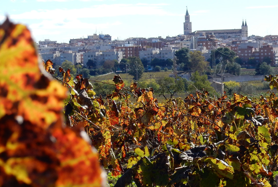 tardor_fotopenedes