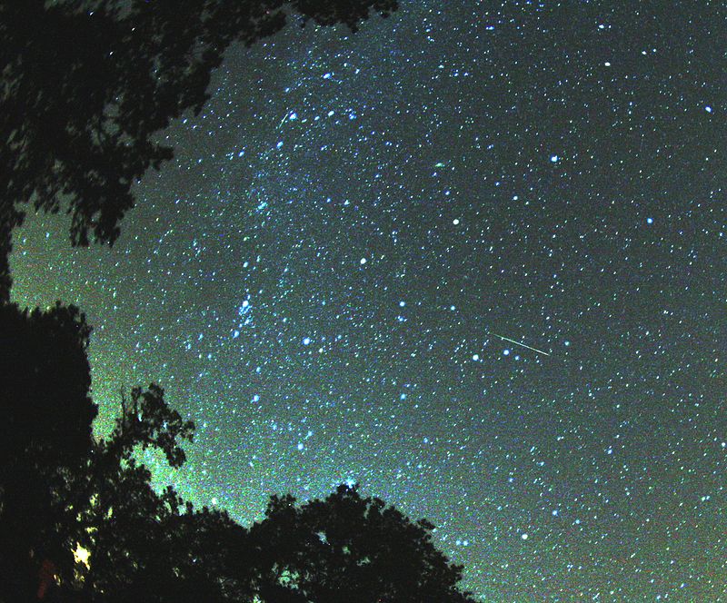 perseidas